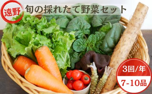 
【偶数 月3回 定期便 】旬の採れたて野菜の詰め合わせセット（7〜10品）【こんたでぃーの遠野】
