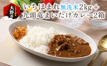 【福井のブランド米】【令和7年産】【特A獲得】いちほまれ無洗米＋九頭竜まいたけカレーセット