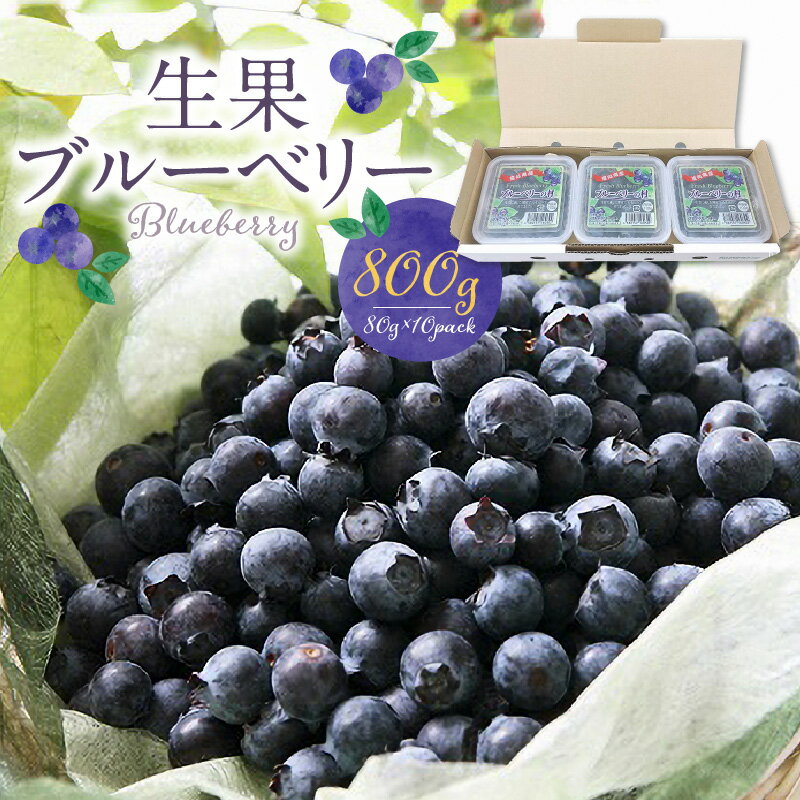 【ふるさと納税】ブルーベリー 生果 80g × 10パック 計 800g 直送 旬 完熟ブルーベリー アントシアニン 生の果物 使いやすい 腸内環境改善 個包装 冷凍保存 シャーベット アイス ヨーグルト アレンジ フルーツ デザート 果物 福岡県 久留米市 お取り寄せ 送料無料