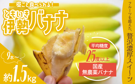 平均糖度25度以上 国産 無農薬 皮ごと食べられる「ともいき伊勢バナナ」 約1.5kg 9本～ バナナ ばなな 伊勢ばなな 伊勢バナナ ときいも伊勢バナナ 高糖度 栄養豊富 皮ごと 果物 くだもの 多気町 三重 無農薬 国産 三重県 多気町 TF-01