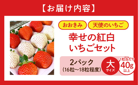 《2025年発送先行予約》【数量・期間限定】宮崎県産 幸せの紅白いちごセット（おおきみ&天使のいちご）大サイズ2パック いちご 果物 フルーツ