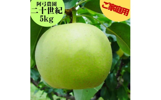 304K.■阿弓農園■二十世紀5kg〔ご家庭用〕