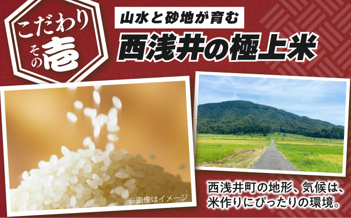 【全12回定期便】コシヒカリ 滋賀県西浅井町産「まるこ米」6kg（2kg×3）　無洗米   米 お米 白米 こしひかり地域 応援