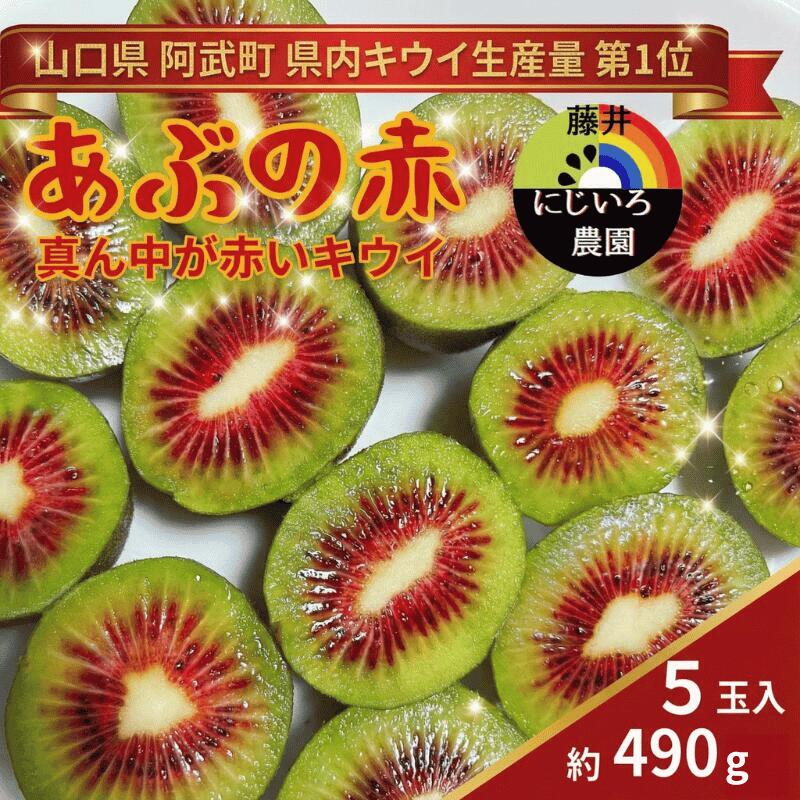 【ふるさと納税】【先行予約】赤いキウイ あぶの赤 約490g 希少品種 極甘 山口県 阿武町産 国産 フルーツ《2026年10月中旬～2027年1月下旬発送》