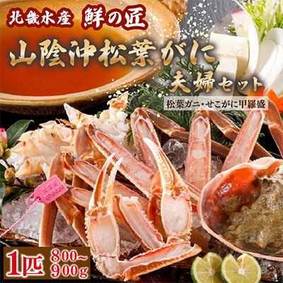 ふるさと納税 京丹後市 【1月〜3月発送】山陰沖松葉がに使用・松葉がに鍋セット&amp;せこがに甲羅盛り2個　自家製鍋だし付き