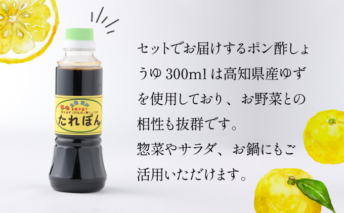 野菜 7種類 詰め合わせセット(特製ポン酢付) 新鮮 旬 春 おまかせ 5000円 故郷納税 送料無料