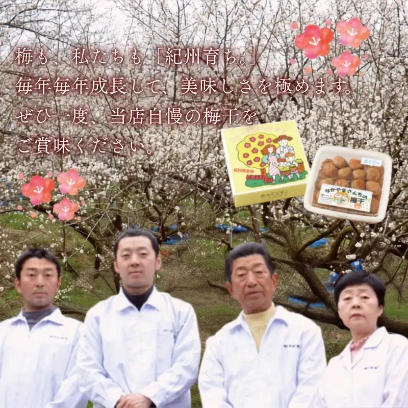紀州南高梅　うす塩【ハチミツ入】 塩分10%（2kg）なかやまさんちの梅干　うめ　ウメ【nky010-120k】