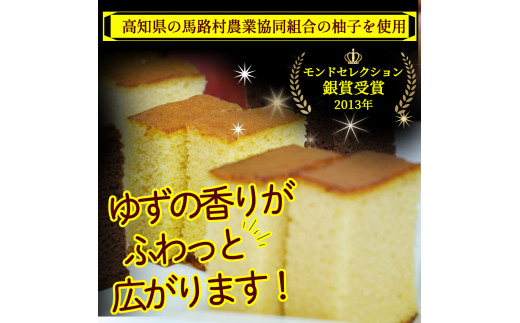 四万十の米粉カステラ【龍馬の太鼓判】プレーン＆ゆず半斤2本セット Bmu-B39