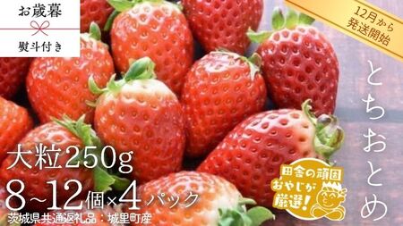 【 お歳暮 熨斗付 】 とちおとめ 〈いちご〉 大粒 250g（8～12粒）×4パック【2026年12月から発送開始】（茨城県共通返礼品 [いちご]：城里町産）