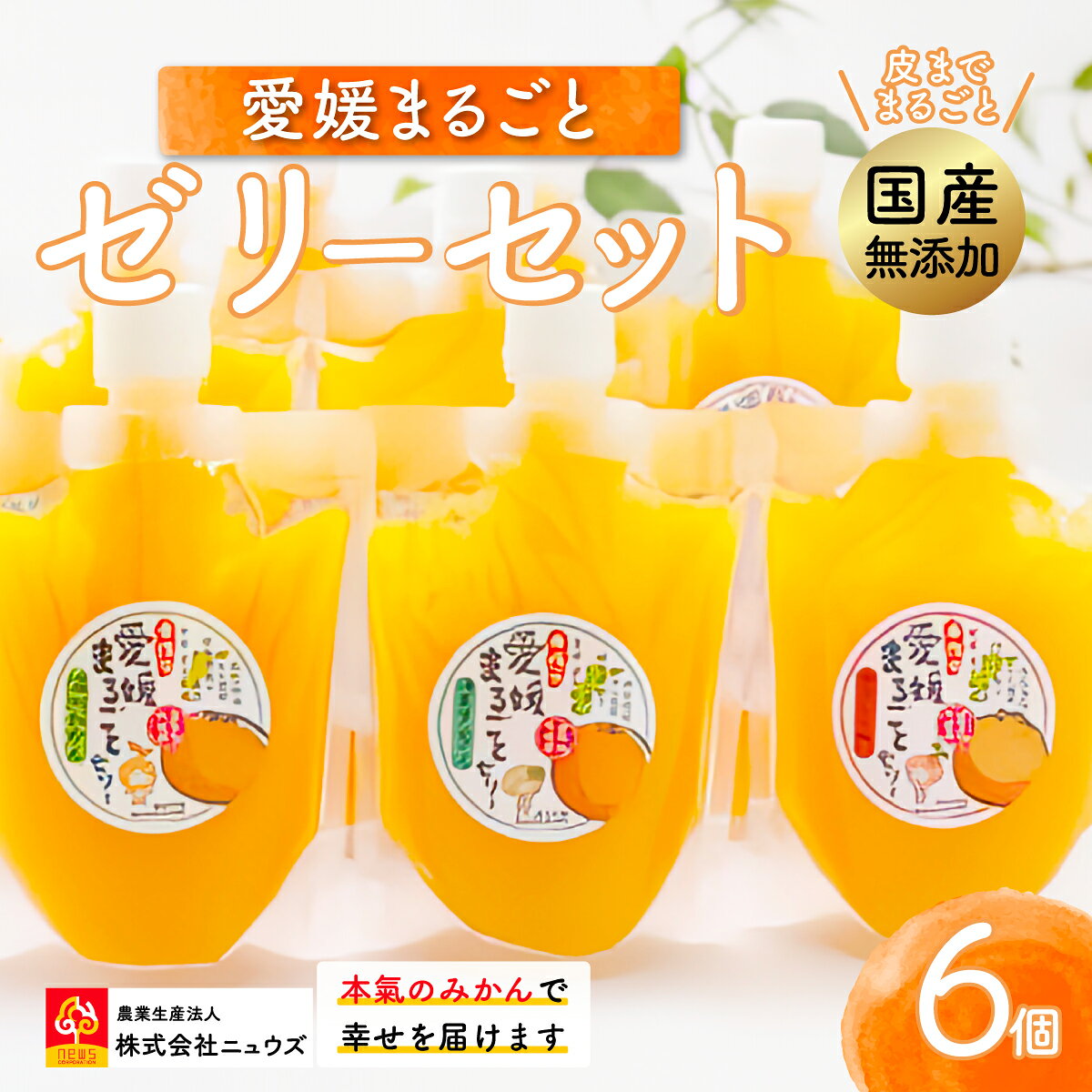 【ふるさと納税】【皮までまるごと国産無添加】愛媛まるごとゼリーセット（6個） 【ふるさと納税 人気 おすすめ ランキング みかん ミカン 蜜柑 ゼリー セット フルーツ 果物 ニュウズ 愛媛県 伊方町 送料無料】 IKTF011