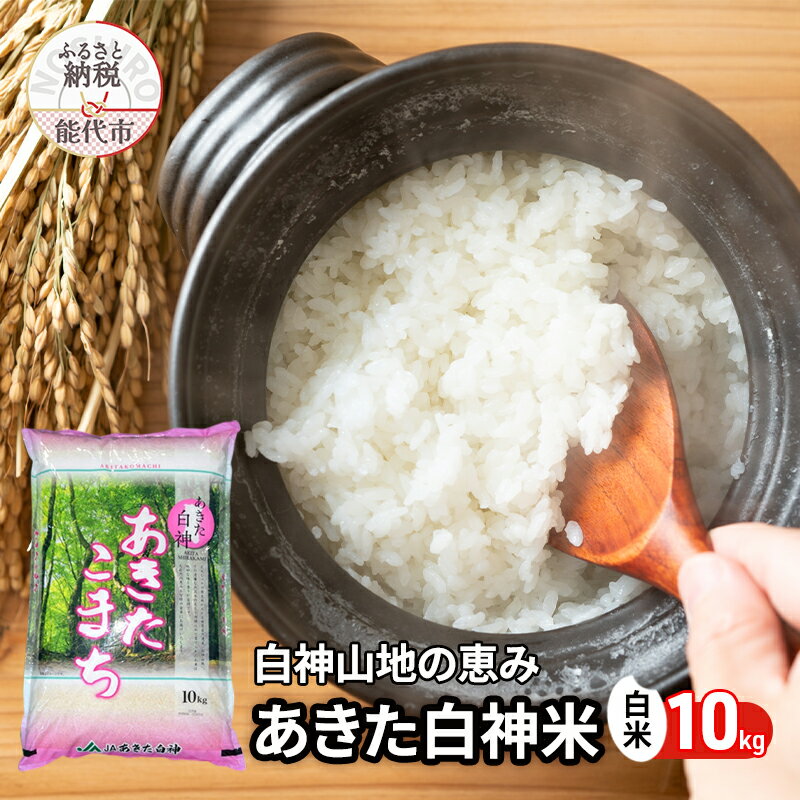 【ふるさと納税】秋田県産 あきたこまち あきた白神米 10kg 令和7年産 精米 白米 お米 ご飯 ブランド米 銘柄米 おにぎり お弁当 産地直送