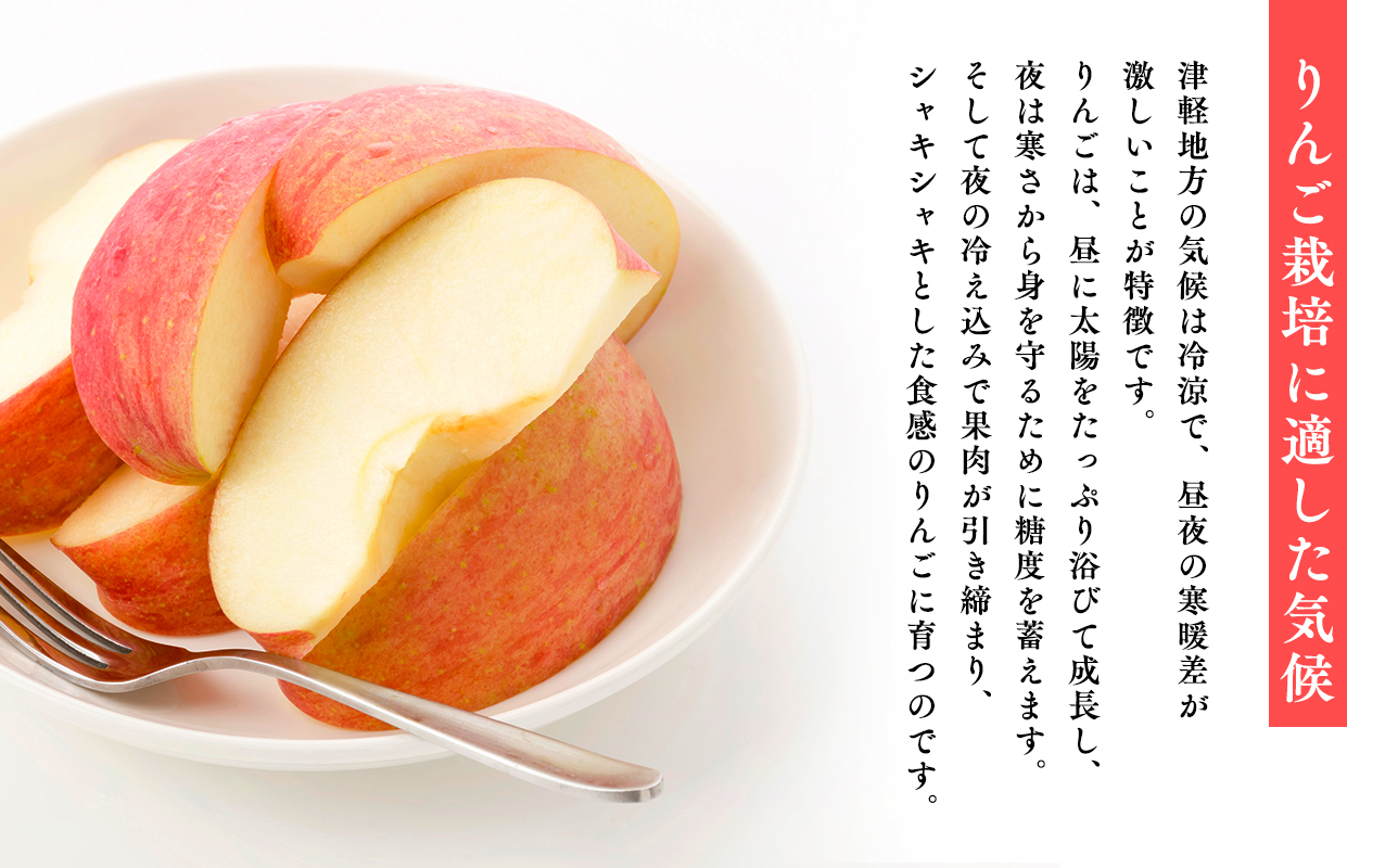 ≪3月発送≫【訳あり】家庭用 サンふじ10kg【青森県 平川市 丸勝木村商店】平川市産 青森りんご りんご リンゴ 林檎 ふじ 訳あり 家庭 わけあり お取り寄せ 先行予約 果物 くだもの フルーツ 