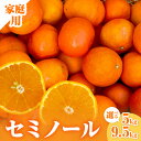 【ふるさと納税】ミカファーム 訳あり オレンジ セミノール 5kg 9.5kg 春頃発送 三重県 御浜町産【濃厚な甘味と程よい酸味！】