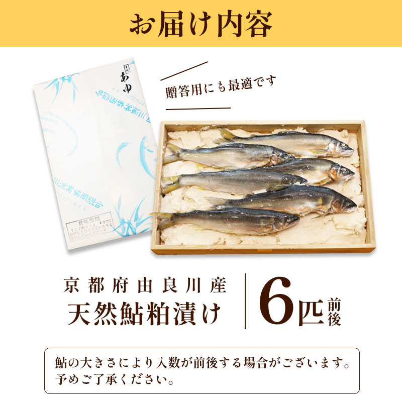 天然鮎の粕漬け 6匹 【 由良川漁協 あゆ 鮎 アユ 魚 魚介 川魚 海鮮 漬け魚 粕漬け 酒粕 天然 大人 贅沢 おつまみ 酒の肴 珍味 舞鶴 京都 】 
