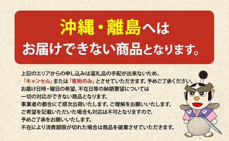 訳あり うに ロシア産 バフンウニ 塩水パック 100g×2 ウニ