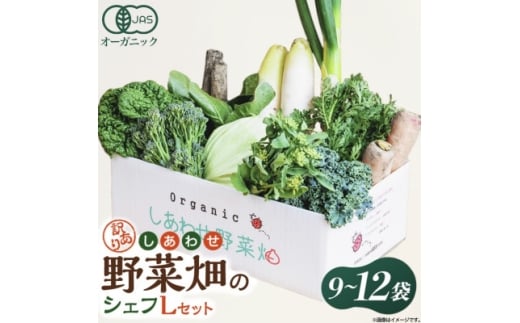 しあわせ野菜畑のシェフLセット　(訳あり規格外の有機野菜を一部使用)【1608189】
