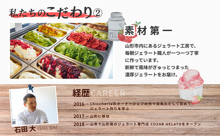 COZAB GELATO 大容量 ひとりじめサイズ 訳あり 贅沢 14個セット FY25-278