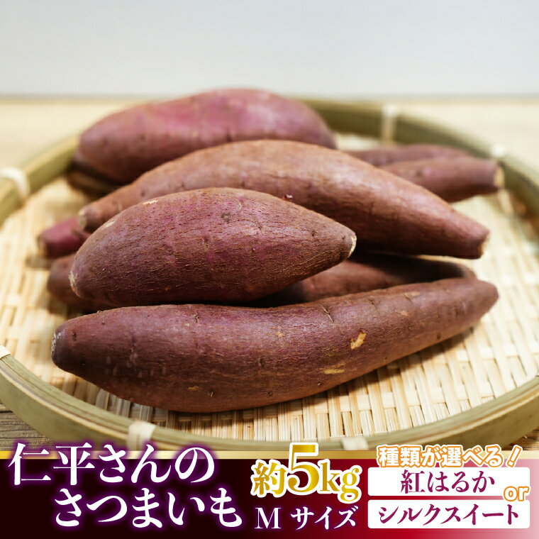 【ふるさと納税】【選べる品種】【2026年1月より順次発送】仁平さんの熟成紅はるか 約5kg(Mサイズ・洗い)・【2025年9月より順次発送】仁平さんの新芋シルクスイート 約5kg(Mサイズ・洗い)｜さつまいも サツマイモ さつま芋 いも 紅はるか 熟成さつまいも 茨城県 行方市(CH-3)