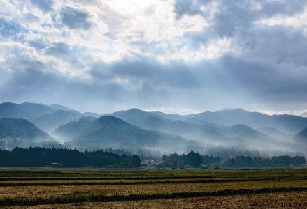 【令和7年産新米】「米屋のこだわり阿賀野市産」コシヒカリ 10kg  9月中旬より順次発送 1E02035