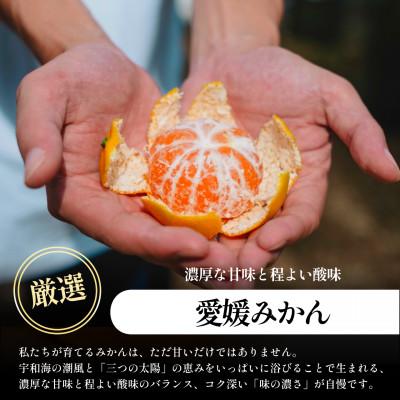 ふるさと納税 八幡浜市 【発送月固定定期便】五代目厳選!旬のみかんをお届け みかん・まどんな 各2kg【E70-77】全2回 |  | 01