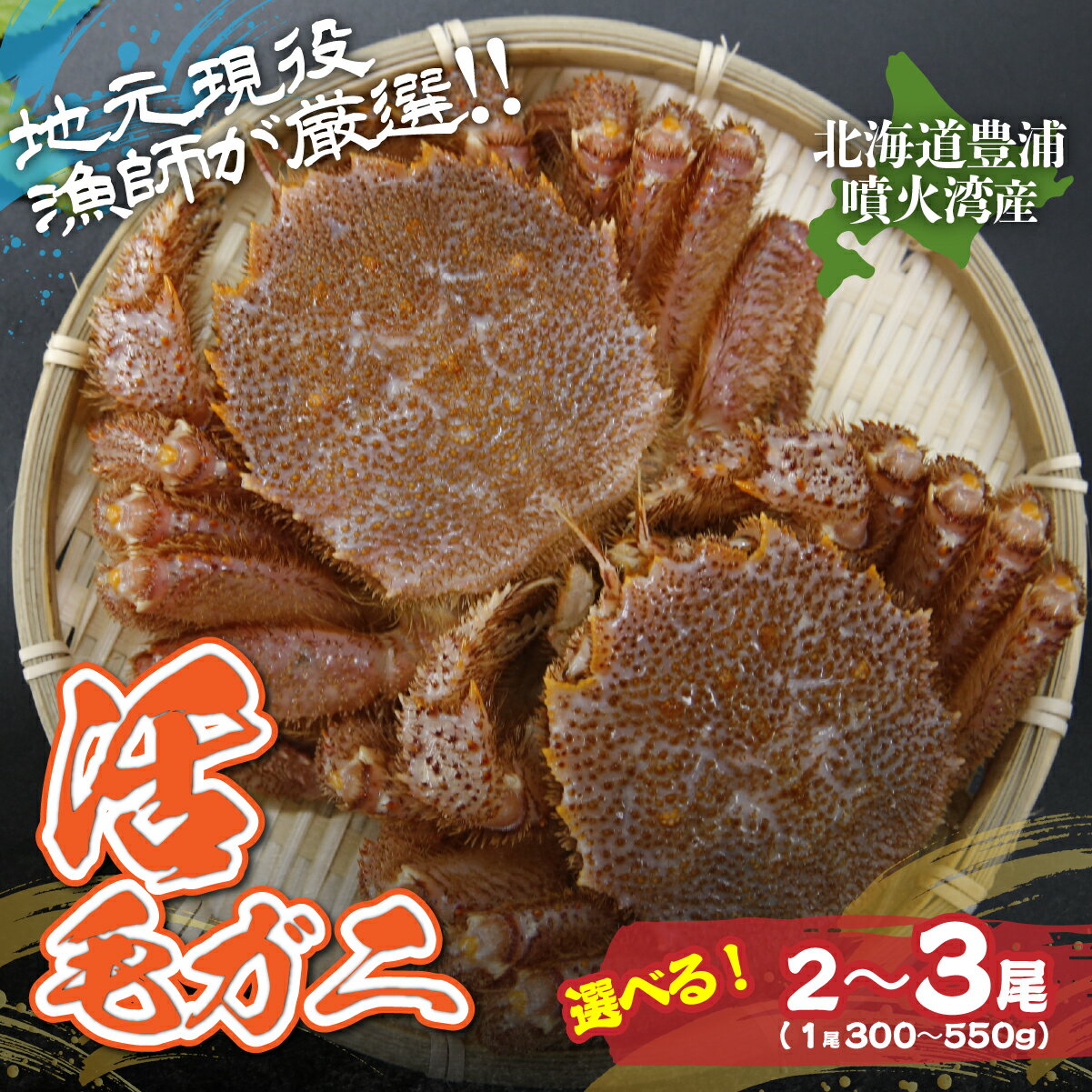【ふるさと納税】【令和8年度発送先行予約】【地元現役漁師が厳選！！】活毛ガニ 選べる内容量 350g～550g前後（2尾～3尾） 【 ふるさと納税 人気 おすすめ ランキング かに 蟹 毛がに 毛蟹 厳選 噴火湾 大容量 おいしい 美味しい 新鮮 北海道 豊浦町 送料無料 】