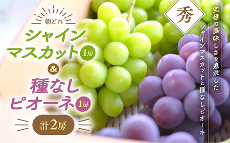 【2025年分発送】 種なし シャインマスカット 2房 ピオーネセット 山梨 ピオーネ 先行予約 先行 予約 山梨県産 産地直送 フルーツ 果物 くだもの ぶどう ブドウ 葡萄 シャイン シャインマスカット 新鮮 人気 おすすめ 国産 贈答 ギフト お取り寄せ 令和7年発送分 山梨 甲斐市 AV-23