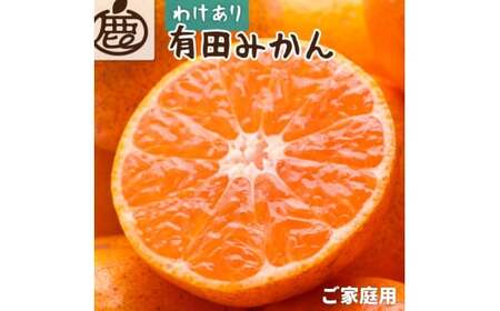 みかん 家庭用有田みかん 1kg+250g 11月より発送(完熟)サイズ混合(2S～2L)【ikd210】