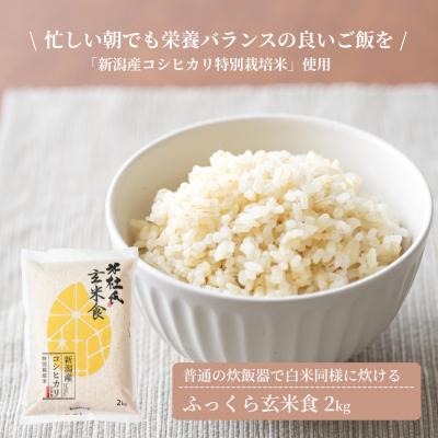 ふるさと納税 阿賀野市 【令和8年産新米】米杜氏 新潟県阿賀野市産 特別栽培米 ふっくら玄米食 2kg