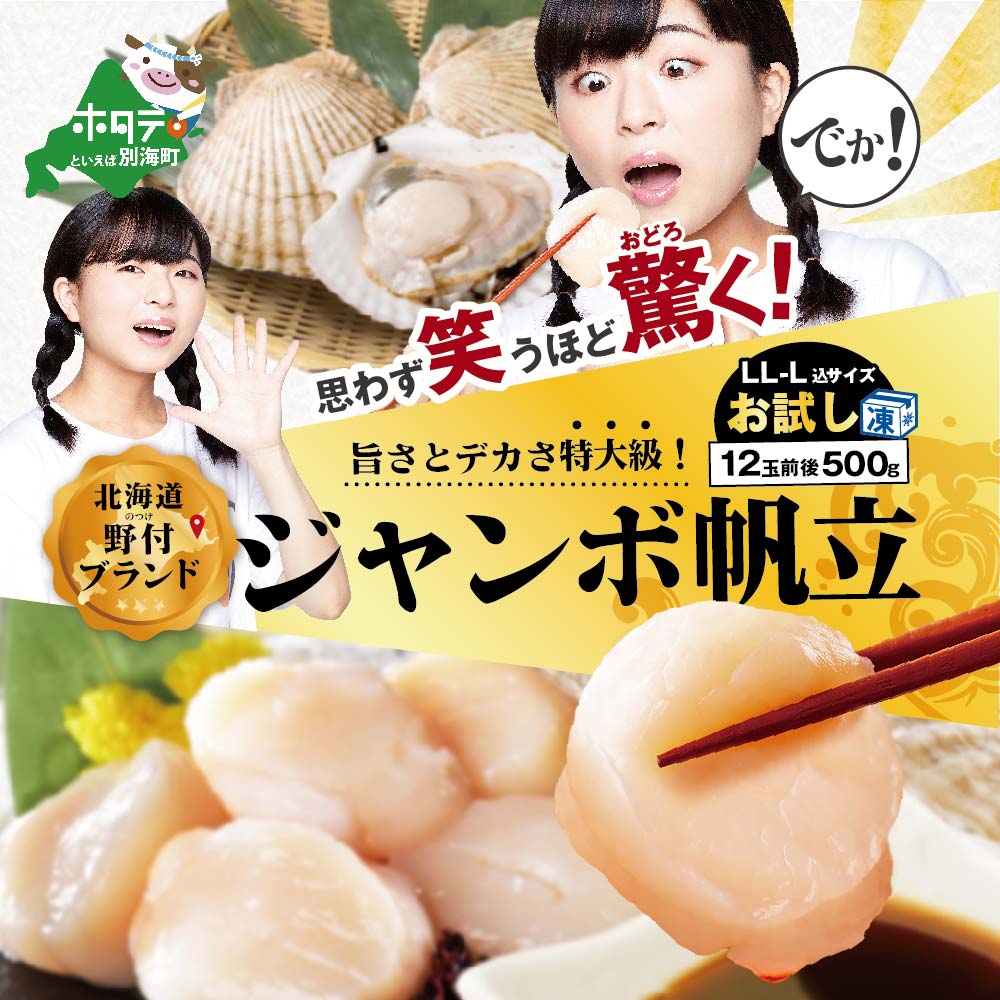 【ふるさと納税】高評価★4.67 ジャンボホタテ 思わず笑うほど驚くお試し 500g （ふるさと納税 ほたて 特大 ふるさと納税 帆立 特大 ふるさと納税 ホタテ貝柱 ふるさと ホタテ 特大 ほたて 500g ふるさと ホタテ貝柱 貝 ふるさと納税 訳あり 大粒 春 旬 北海道 別海町 ）