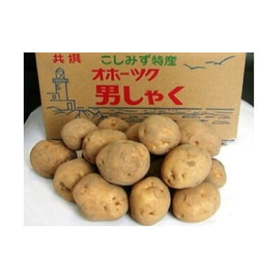 【ふるさと納税】北海道小清水町産 男爵いも10kg ほくほく食感 産地直送【1763224】