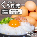 【ふるさと納税】 【 定期便 】 たまご くろ丹波 30個 (割れ保証4個含む) 3回 6回 12回( 卵 たまご 濃い 玉子 セット 玉子焼き 卵焼き 毎月 お届け まとめ買い 人気 国産 純国産 卵かけご飯 ゆで卵 鶏卵 卵黄 丹波 黒豆 丹波黒 大豆 京都府 京丹波町 ふるさと納税)