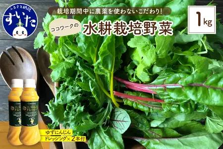 ココワークの水耕栽培野菜 約1kg ゆず人参ドレッシング2本 セット