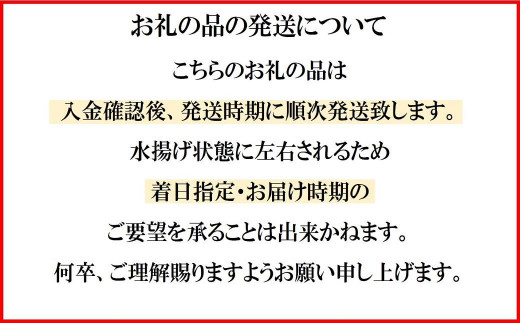 朝獲れ海の幸セット（旬の鮮魚、海藻などの詰合せ）　鮮魚 詰め合わせ 海鮮 魚介 魚貝 新鮮 旬 お楽しみ おすすめ 