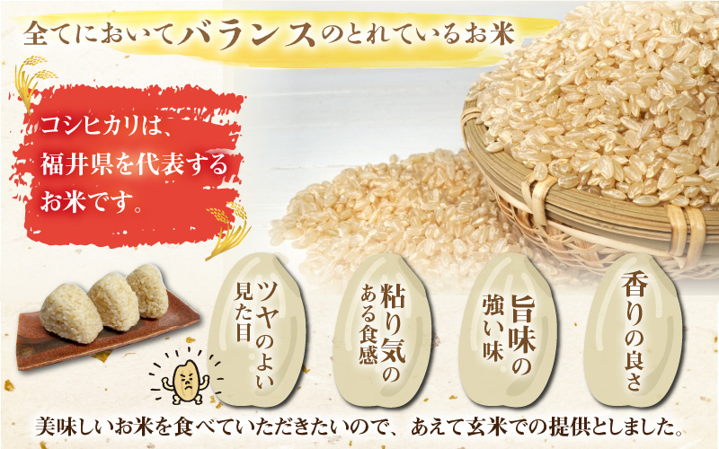 【通常販売】令和8年産 梅花藻が群生する清流で育てたコシヒカリ（玄米 10kg×1袋）3か月定期便 計30kg ※2026年9月10日以降順次発送予定[C-040009]