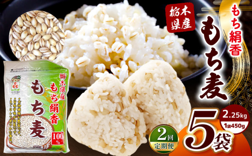 【定期便2回】栃木県産もち麦 2.25kg(450g×5袋) | もち麦 麦 むぎ 栃木県産 もち 大麦 食物繊維 β-グルカン 糖質 ダイエット 腸内環境 栃木県 真岡市 送料無料