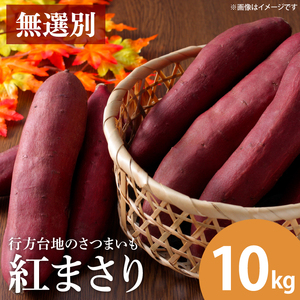 【緊急支援品】無選別 行方台地のさつまいも 熟成紅まさり 約10kg｜さつまいも 芋 サツマイモ いも 紅まさり 無選別 熟成 茨城県 行方市(CU-300-1)