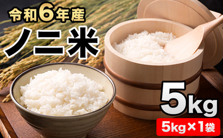 令和6年産  ひのひかり(ノニ米) 約5kg(5kg×1袋) コノCAFE《30日以内に出荷予定(土日祝除く)》｜人気米 熊本県産米 お米 生活応援米