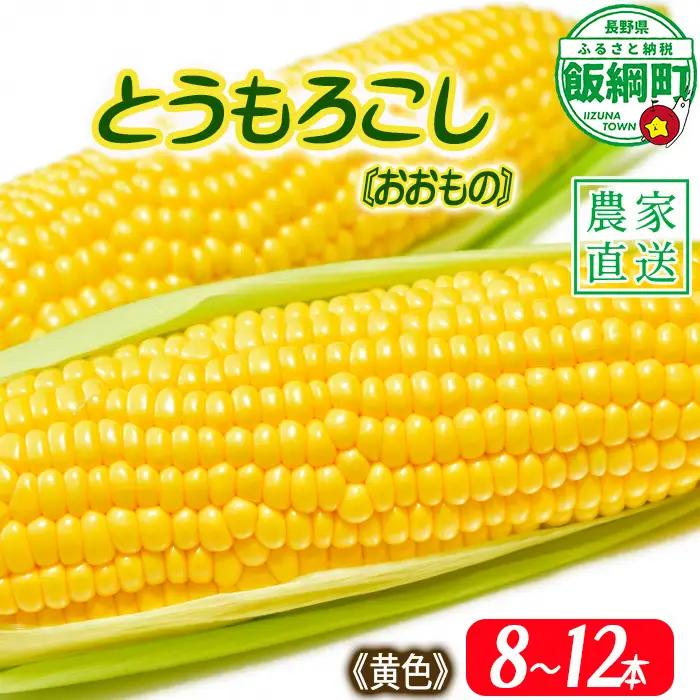 信州産 朝採り【 黄色 】 とうもろこし 8本 ～ 12本 ( 品種 おおもの ) 上倉荘 配送先は本州限定 2026年8月上旬頃から2026年9月中旬頃まで順次発送予定 信州 トウモロコシ コーン 