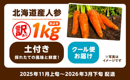 北海道 訳ありにんじん 1kg（土付き）訳あり 訳あり 訳あり[BEBA003] 
