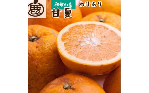 
            ［先行予約］家庭用 甘夏柑5kg+250g（傷み補償分）［初夏のみかん・旬の果物］［有田産］［光センサー食べ頃出荷］［わけあり・訳あり］［IKE75］
          
