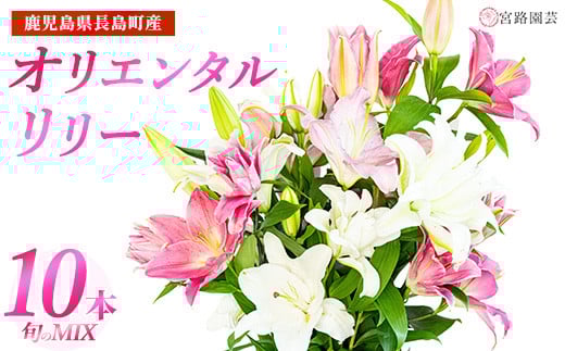 
            オリエンタルリリー（ユリ）旬のミックス 10本 ユリ 花 ユリの花 百合 ゆり 生花 切花 切り花 【宮路園芸】miyaji-7005-oya
          