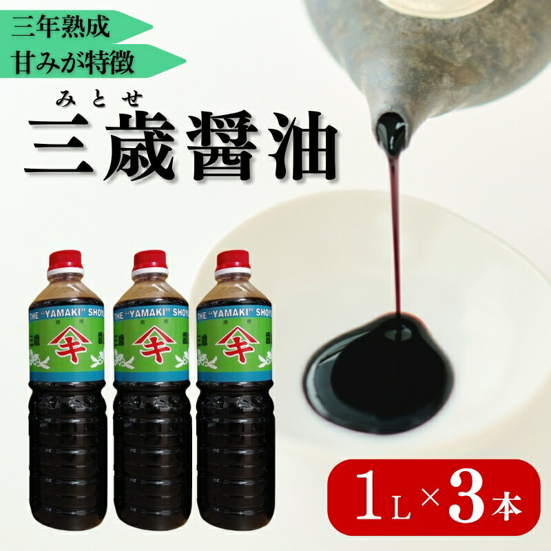 【ふるさと納税】三歳醤油 3本セット 閏木醤油 送料無料 刺身醤油 老舗 調味料 愛媛 伊予市｜B174