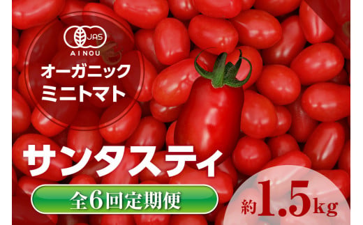 【全6回定期便】オーガニックミニトマト（サンタスティ）約1.5kg ／ とまと 野菜 高糖度 スナックタイプ 愛知県 特産品