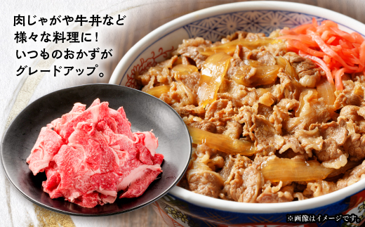 【飛騨牛】切り落とし250g×4　合計1kg【配送不可地域：離島】【1731545】