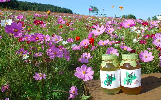 国産天然 しんかいクローバー蜂蜜（600g）_イメージ4