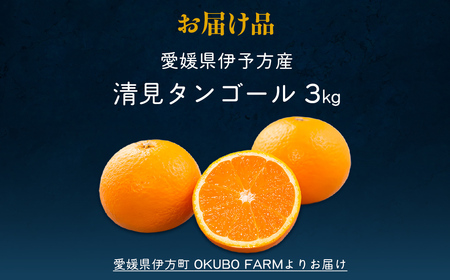【先行予約】【家庭用】清見タンゴール 3kg ※北海道・沖縄・離島への配送不可（2027年3月11日より順次発送） IKTAT005 | 清見タンゴール