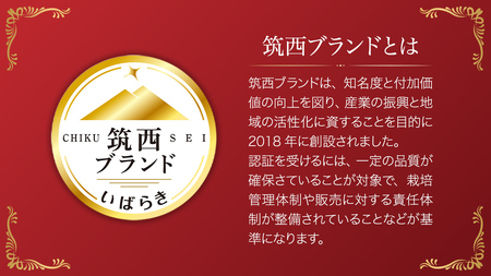 【 訳あり 】 こだますいか 「 ピノ・ガール 」 2玉 2025年産 先行予約 筑西ブランド こだまスイカ 小玉スイカ すいか スイカ フルーツ 果物 [AF081ci]