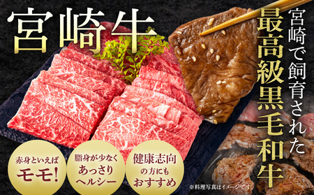 宮崎牛モモ焼肉・宮崎県産黒毛和牛こま切れ(計500g)　肉 牛 牛肉