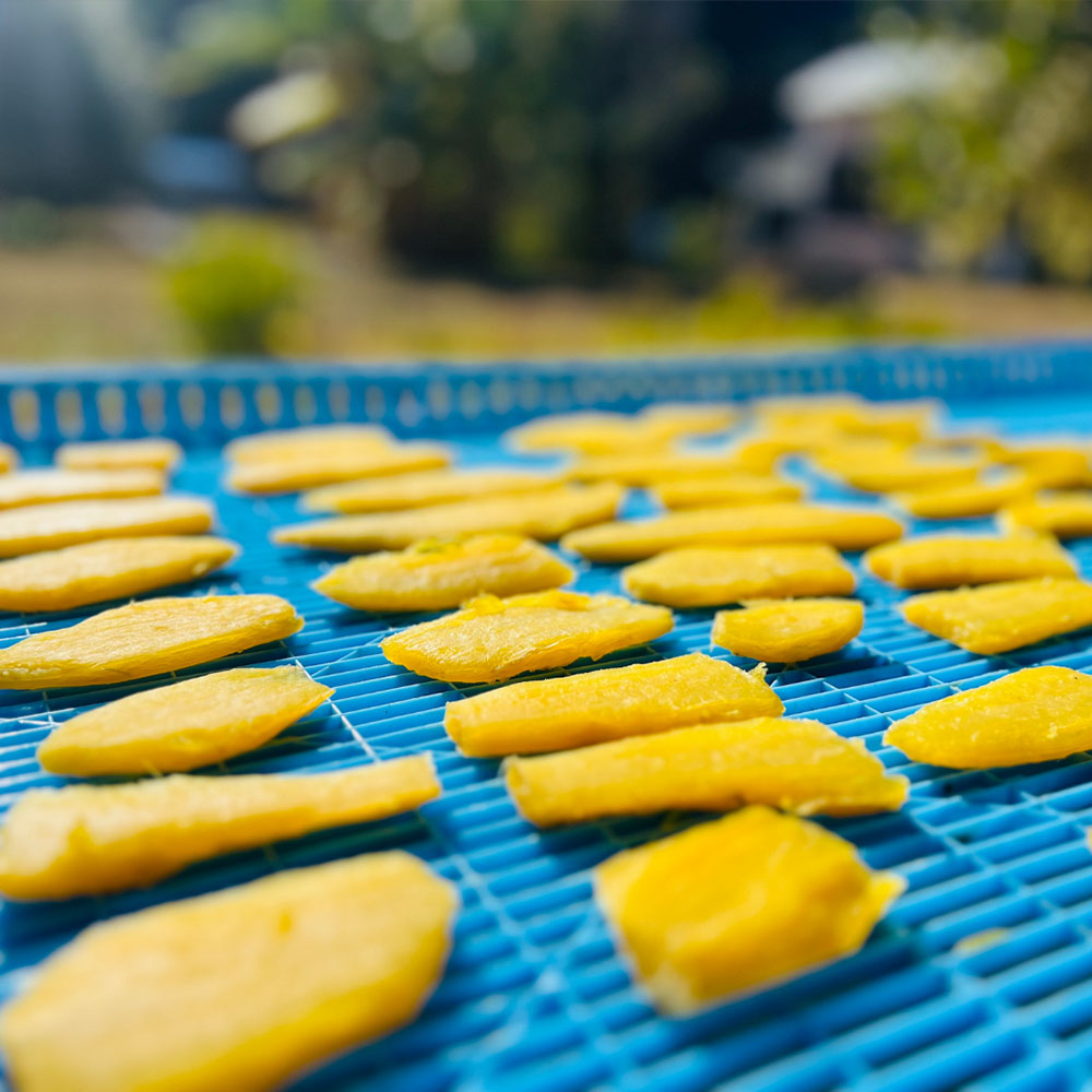 先行予約 R7.11月上旬より順次発送 干し芋 ひいとい干し 100g×10袋 総量1kg 干しいも さつまいも サツマイモ 和菓子 お菓子 デザート 和スイーツ おやつ 甘い おいしい【R01516