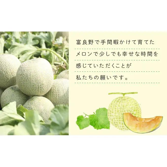 【2026年夏発送】富良野 赤肉 メロン 2玉入 計4kg前後 大玉 北海道